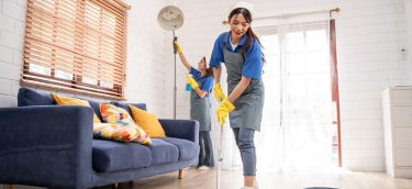 Apartment Cleaning Apartment Cleaning